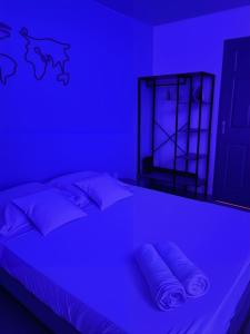 a blue room with a bed with pillows at Cocon Montabo - logement tout équipé avec climatisation et Wi-Fi - à seulement 5 min de la plage in Cayenne +20 photos