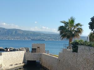 a palm tree and a body of water at La casa tra i laghi in Messina