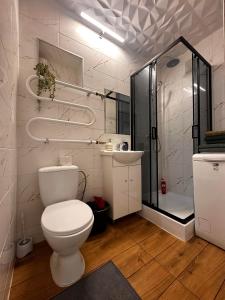 a white bathroom with a toilet and a shower at MB BENO TRUMPALAIKE NUOMA LUKSIUKAs in Kėdainiai