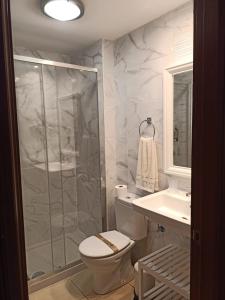 ein Badezimmer mit Dusche, Toilette und Waschbecken in der Unterkunft La Graciosa Camelia Beach Vistas Mar in Caleta de Sebo