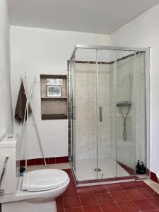 a bathroom with a shower and a toilet at Espectacular Casa Cordobesa in Córdoba +29 photos