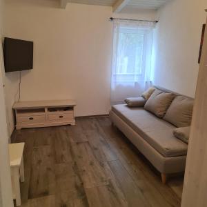a living room with a couch and a television at Helle und moderne Ferienwohnung im Allgäu für 2 Personen in Leutkirch im Allgäu