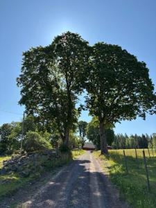 Galeriebild der Unterkunft Hjortkullen in Vimmerby