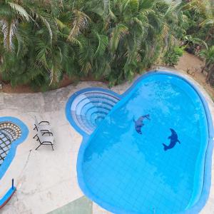 Bazén v ubytování Hotel Georgi nebo v jeho okolí