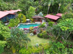 an aerial view of a garden with a swimming pool at Macaw Villa - Riverfront With A Pool in Uvita +97 photos