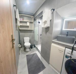 a small bathroom with a toilet and a sink at Alexandras Urban Studio in Bendevís +16 photos