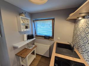Kuchyň nebo kuchyňský kout v ubytování Ferienwohnung Anne