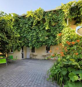 a building covered in ivy with tables and chairs at Amio more in Odesa