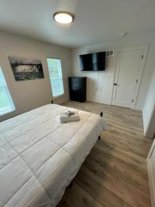 Μια τηλεόραση ή/και κέντρο ψυχαγωγίας στο Short Walk to the Falls Newly Renovated 4 Bedroom