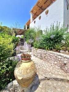 Zahrada ubytování Casa Laboccetta