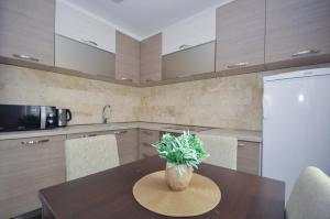 Kuchyň nebo kuchyňský kout v ubytování Seaside Apartments Petrovac
