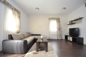 TV a/nebo společenská místnost v ubytování Seaside Apartments Petrovac
