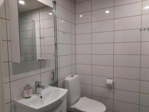a bathroom with a toilet and a sink and a mirror at Convenient Apartment for 3 in Oulu