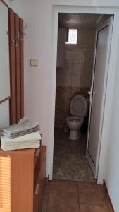 a bathroom with a toilet and a door open at Елиани in Gabrovo +9 photos