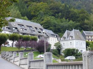 a group of houses in a town with a fence at Appartements bien situés avec terrasse in Le Mont-Dore