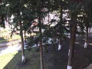 Zahrada ubytování Green Budapest - Tbilisi