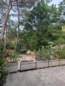 Κήπος έξω από το Lamaisonbleue