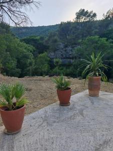 Φυσικό τοπίο κοντά σε αυτή η παραθεριστική κατοικία