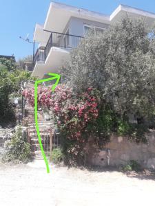 a house with a bush of flowers in front of it at Olive grove mansion - kösedere village in Karaburun