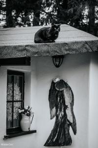 Fotografie z fotogalerie ubytování Domki w Zieleni v destinaci Polańczyk