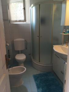 een badkamer met douche, toilet en wastafel bij Apartment Indira in Vela Luka