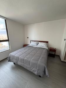 Imagen de la galería de Alerce Suite, en Antofagasta