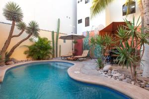 a swimming pool in front of a building with palm trees at 20 ft to malecón, downtown, private Pool in La Paz