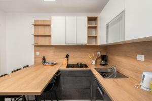 Kuchyň nebo kuchyňský kout v ubytování Apartment UGA