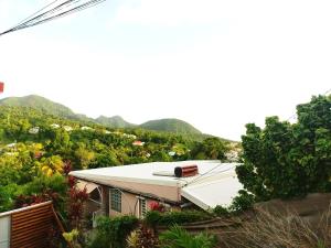 a house with a white roof on a mountain at Petit cocon vue mer in Gourbeyre