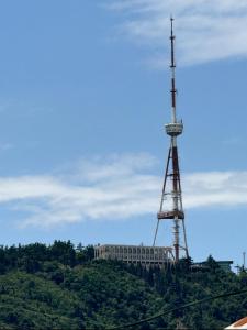 Billede fra billedgalleriet på Only Flowers Girls Hostel i Tbilisi City