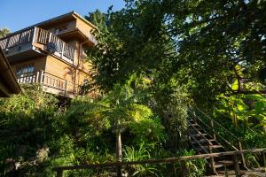 Zahrada ubytování Big Tree House Lodge