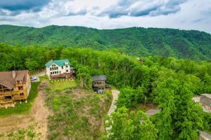 Příroda nedaleko vily