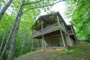 ガトリンバーグにあるThe Bird Hallarの森の中の木の家