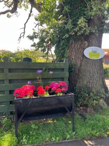 Gallery image of Wee Shepherds Hut Maybole in Maybole