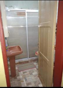 bagno con lavandino rosa e doccia di Puerto Iguazu casa a Puerto Iguazú