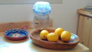 eine Schale Zitronen auf einer Theke mit einer Schüssel Orangen in der Unterkunft Gan HaPaamonim in Giv‘ath Binyāmīn
