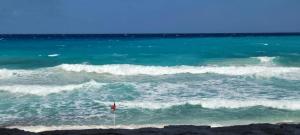 Gallery image of Condo al Mar Cancun in Cancún