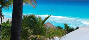 Gallery image of Condo al Mar Cancun in Cancún +14 photos