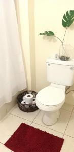 a bathroom with a toilet and a potted plant at The Hibiscus Retreat in Arima