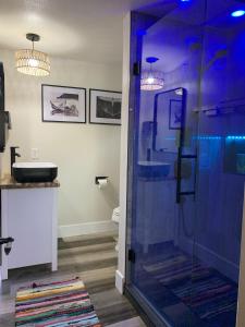 Ένα μπάνιο στο House on the WATER Lake of the Ozarks MO BIG DECK Swim Dock