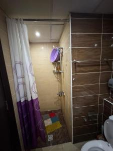 ハルガダにあるكمباوند فلورينزا خمسين وسط الغردقهのシャワーとトイレ付きの小さなバスルーム