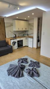 Η κουζίνα ή μικρή κουζίνα στο Apartament Kasia