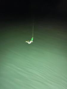 Φυσικό τοπίο κοντά σε αυτό το πλωτό κατάλυμα +5 φωτογραφίες