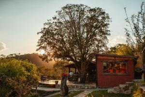 Příroda nedaleko kempu