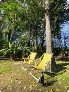 two yellow chairs sitting next to a tree at Isla Pupe in Tigre +19 photos