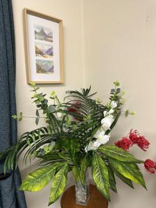 Gallery image of Affordable Spacious Apartment in Timaru