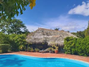 a house with a straw hut with a swimming pool at HUAHINE - Bungalow Picasso in Fare