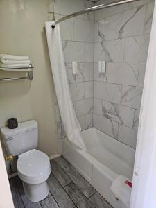 a bathroom with a white toilet and a shower at The Edyn Motel in Wytheville