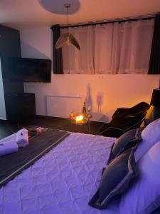 Gallery image of L Emeraude des marais loveroom Bourges in Bourges