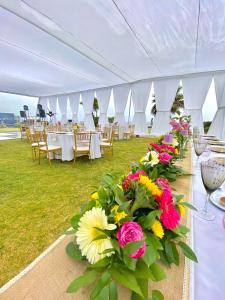 Zahrada ubytování Hotel Trocadero